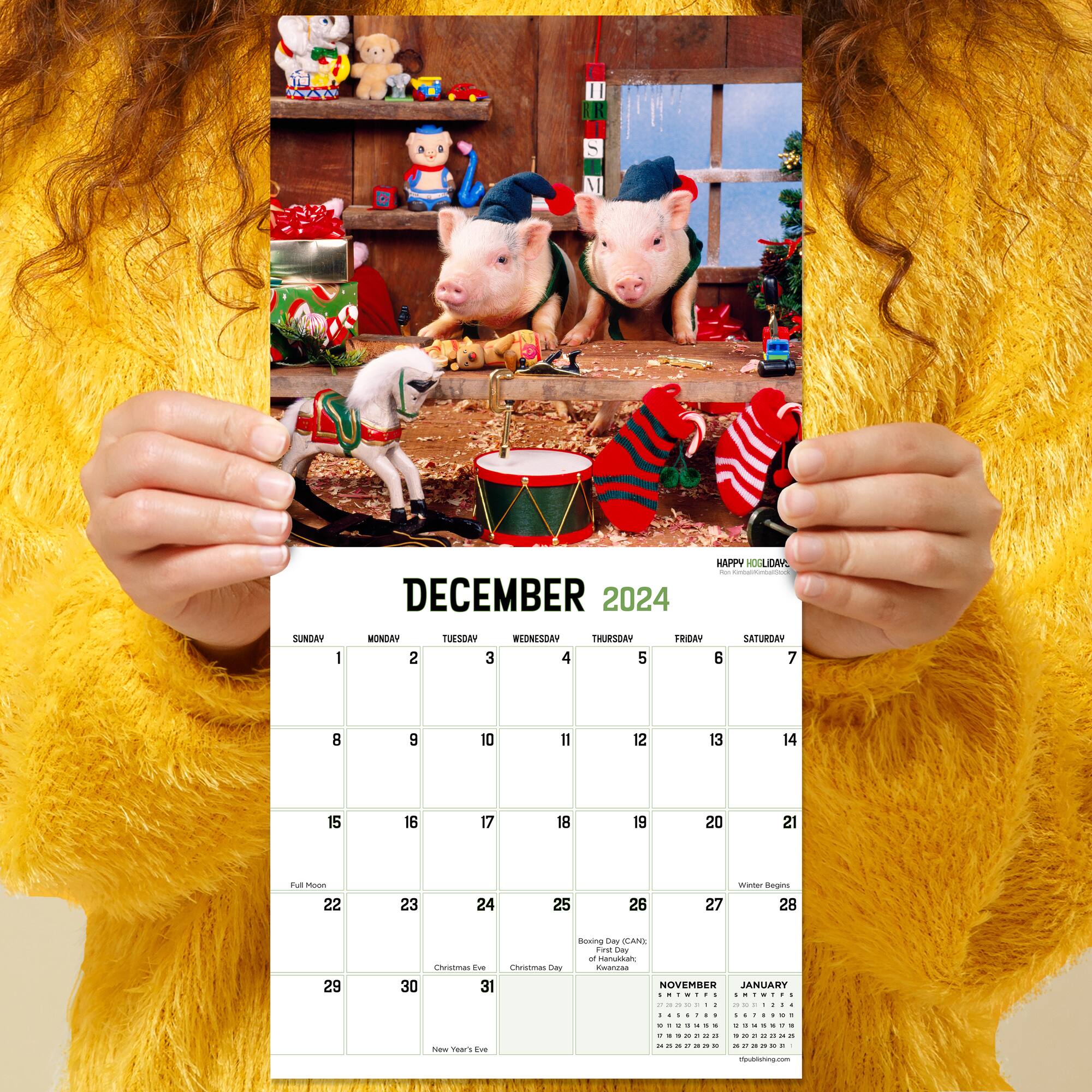 TF Publishing 2024 Playful Pigs Mini Calendar